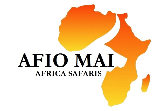 Grab the best Safari Tour in Tanzania and Uganda with us 